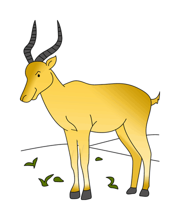 Lonely Antelope Coloring Pages